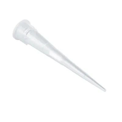 Picture of Universal Pipette Tips with Filter