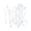 Picture of Transfer Pipette, Small Bulb