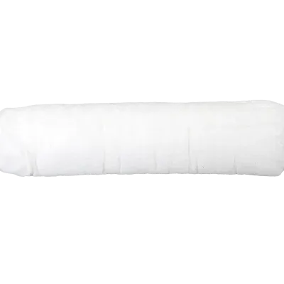 Picture of Organic Tampon Regular Cardboard Applicator