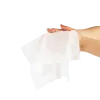 Picture of Flushable Wipes - Adult